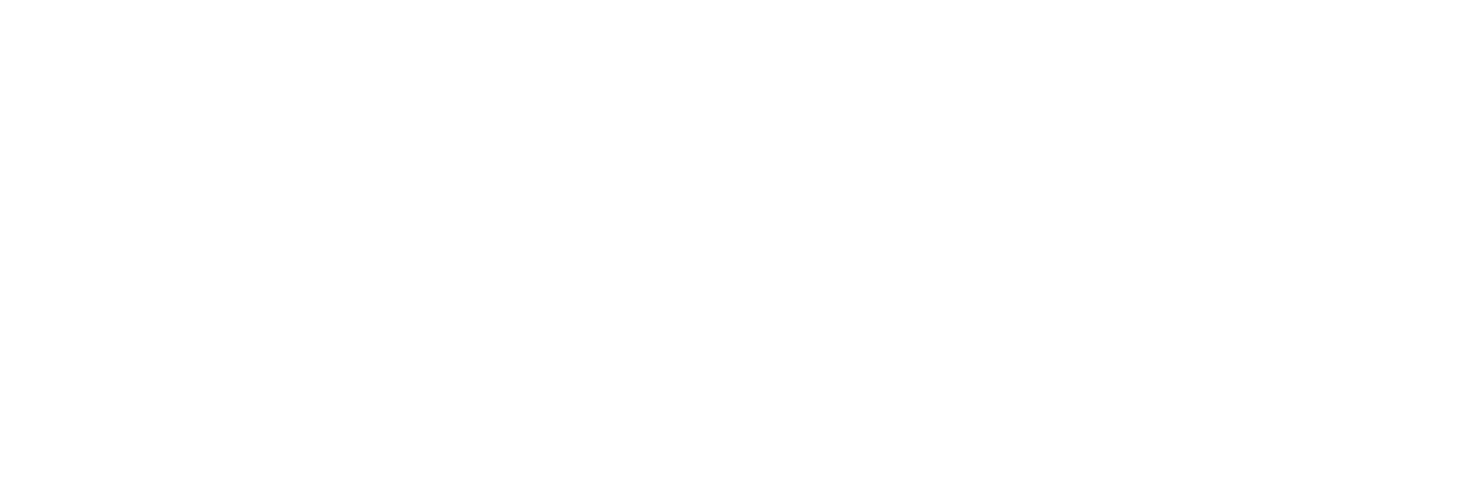 Maironio lietuvių literatūros muziejus (DEV)